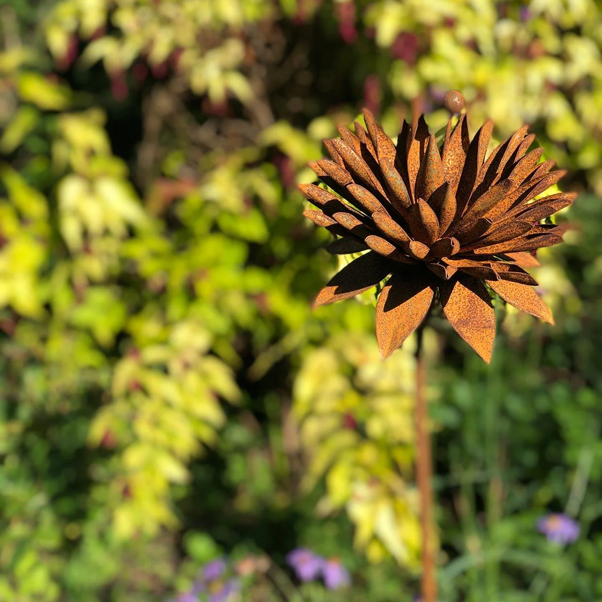 Rusted Cornflower - Image 2
