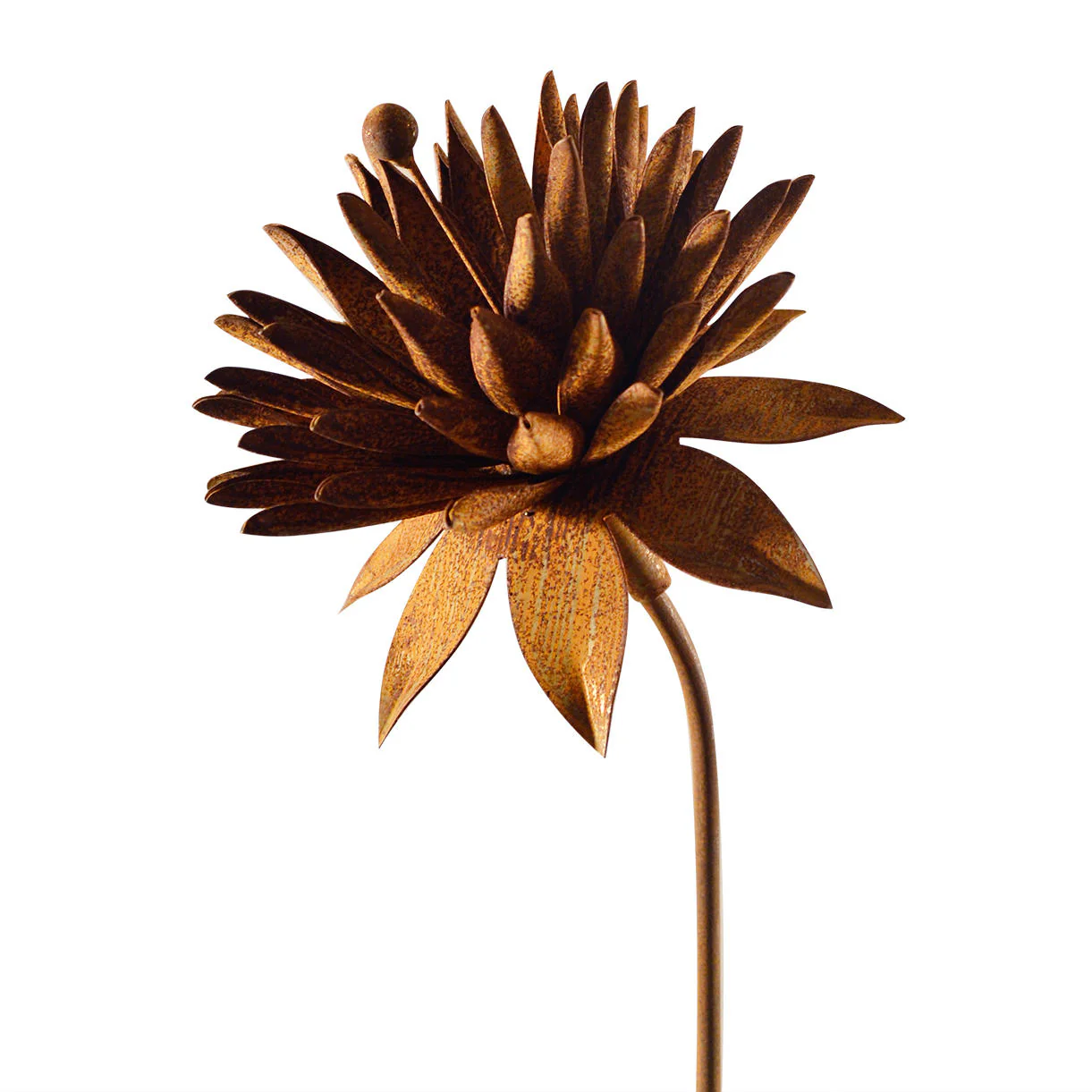 Rusted Cornflower - Image 3