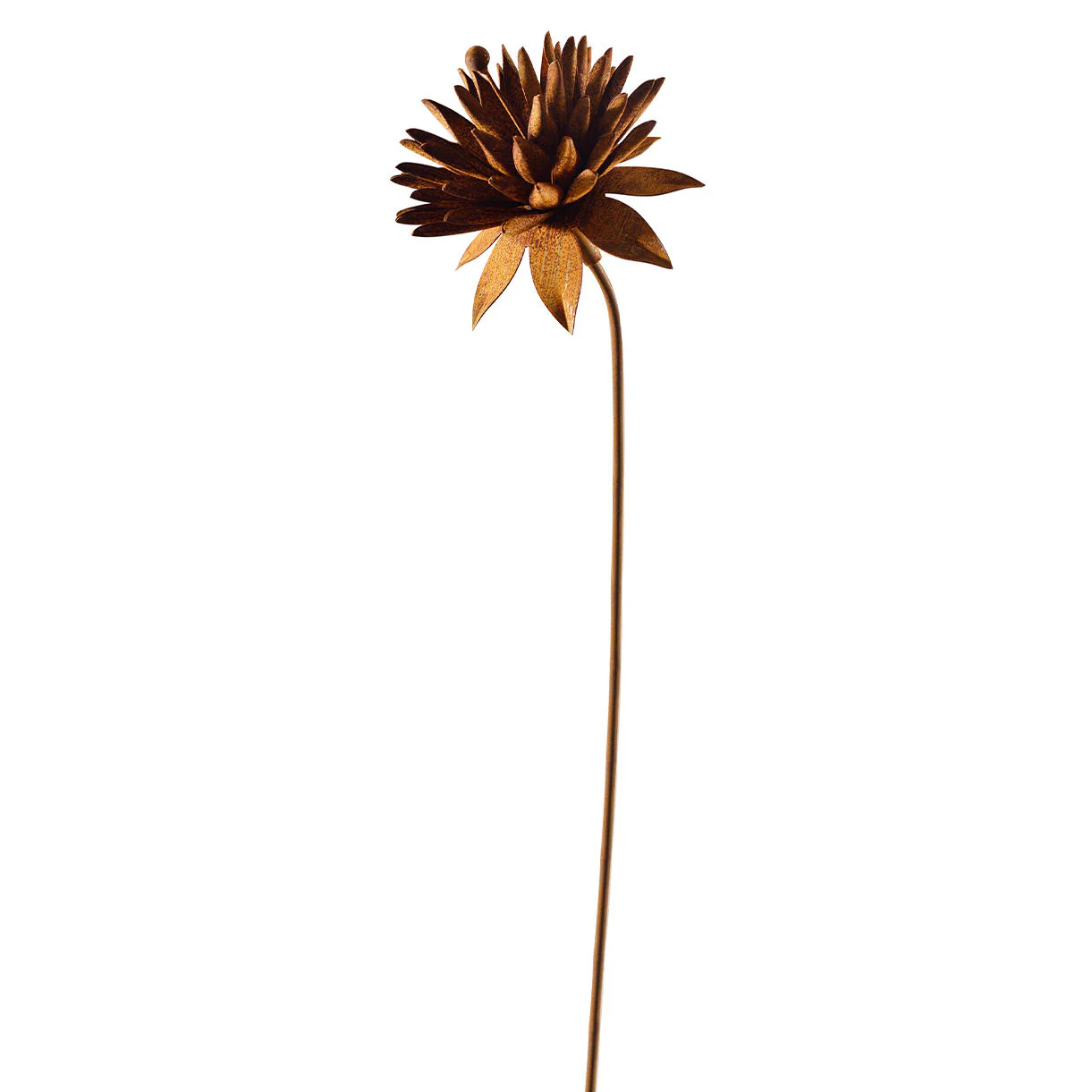 Rusted Cornflower - Image 4