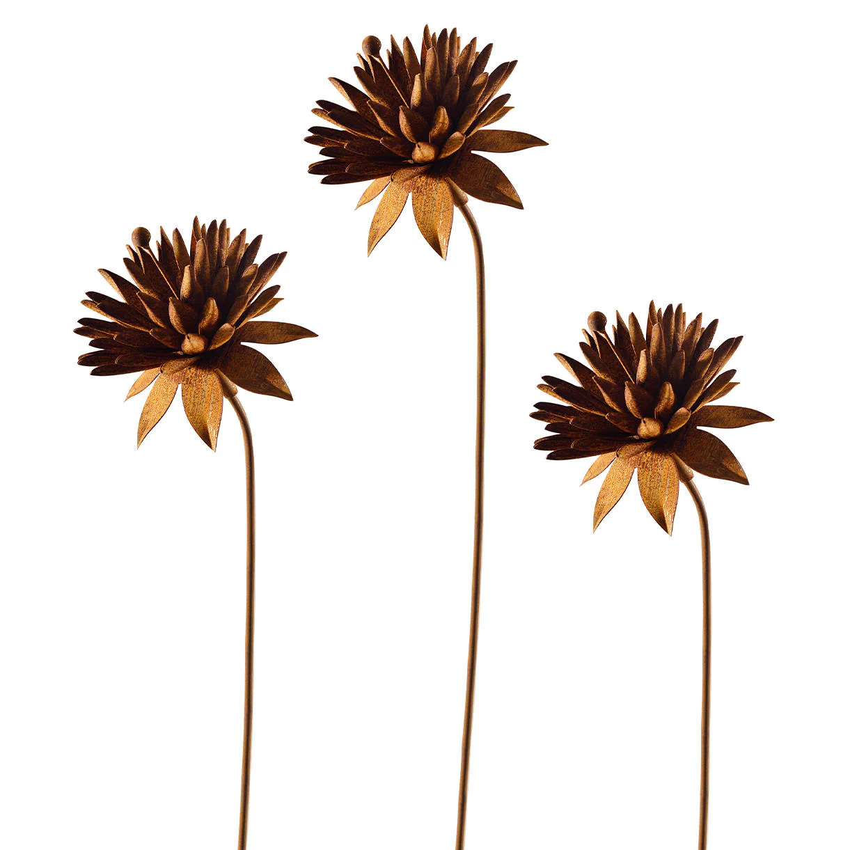 Rusted Cornflower - Image 5
