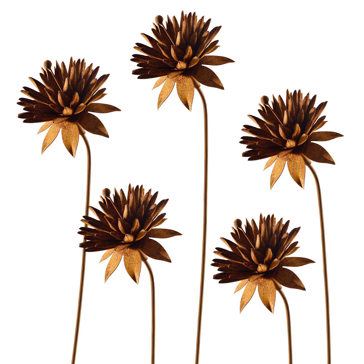 Rusted Cornflower - Image 6