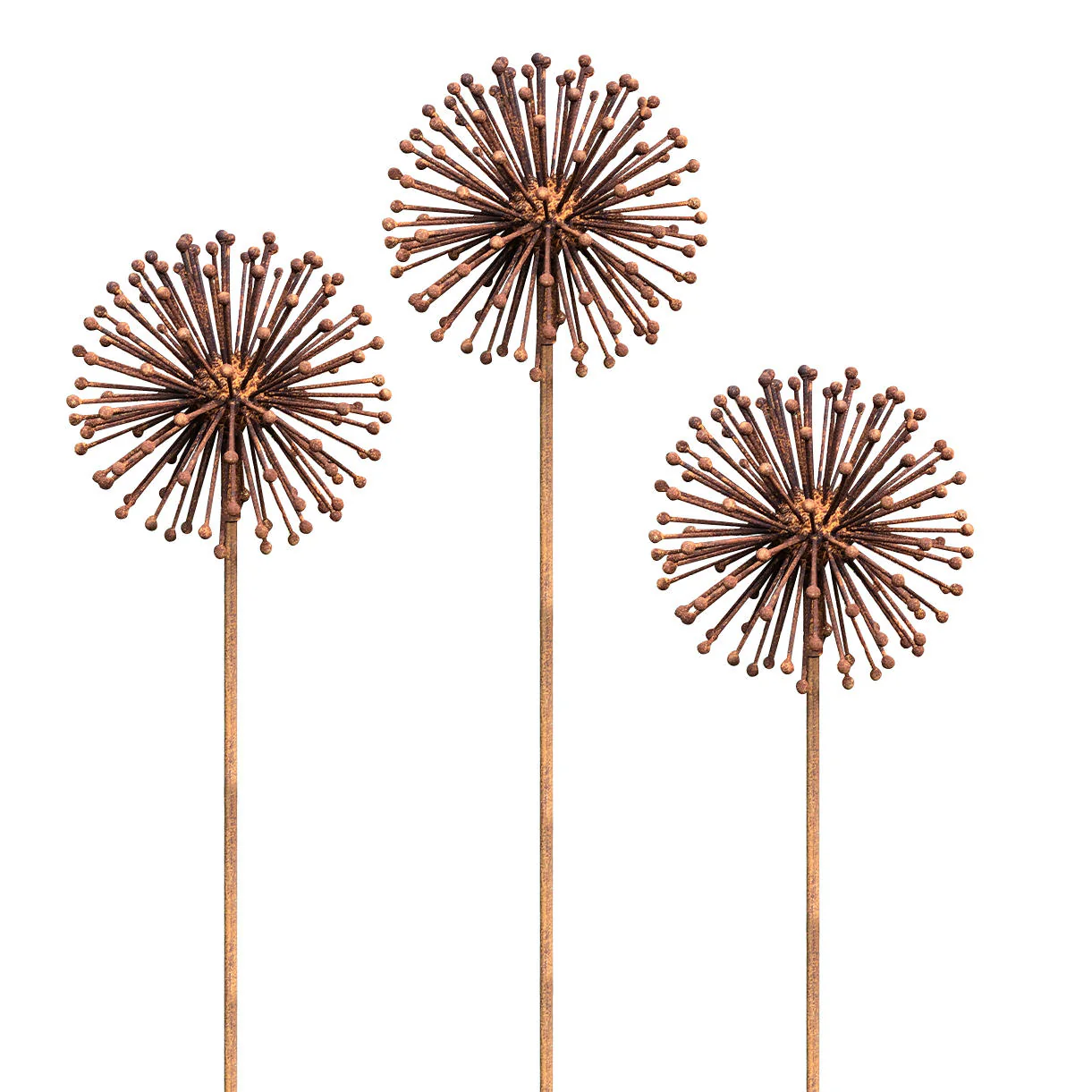 Rusted Dandelion Seedhead Flower - Image 5
