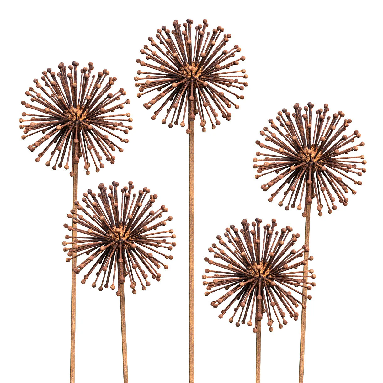Rusted Dandelion Seedhead Flower - Image 6