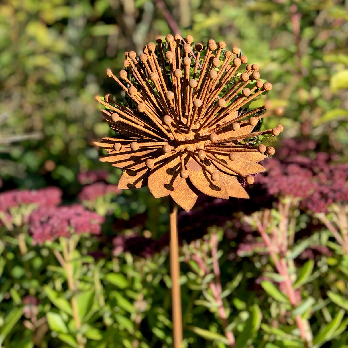 Rusted Echinacea Flower - Image 2