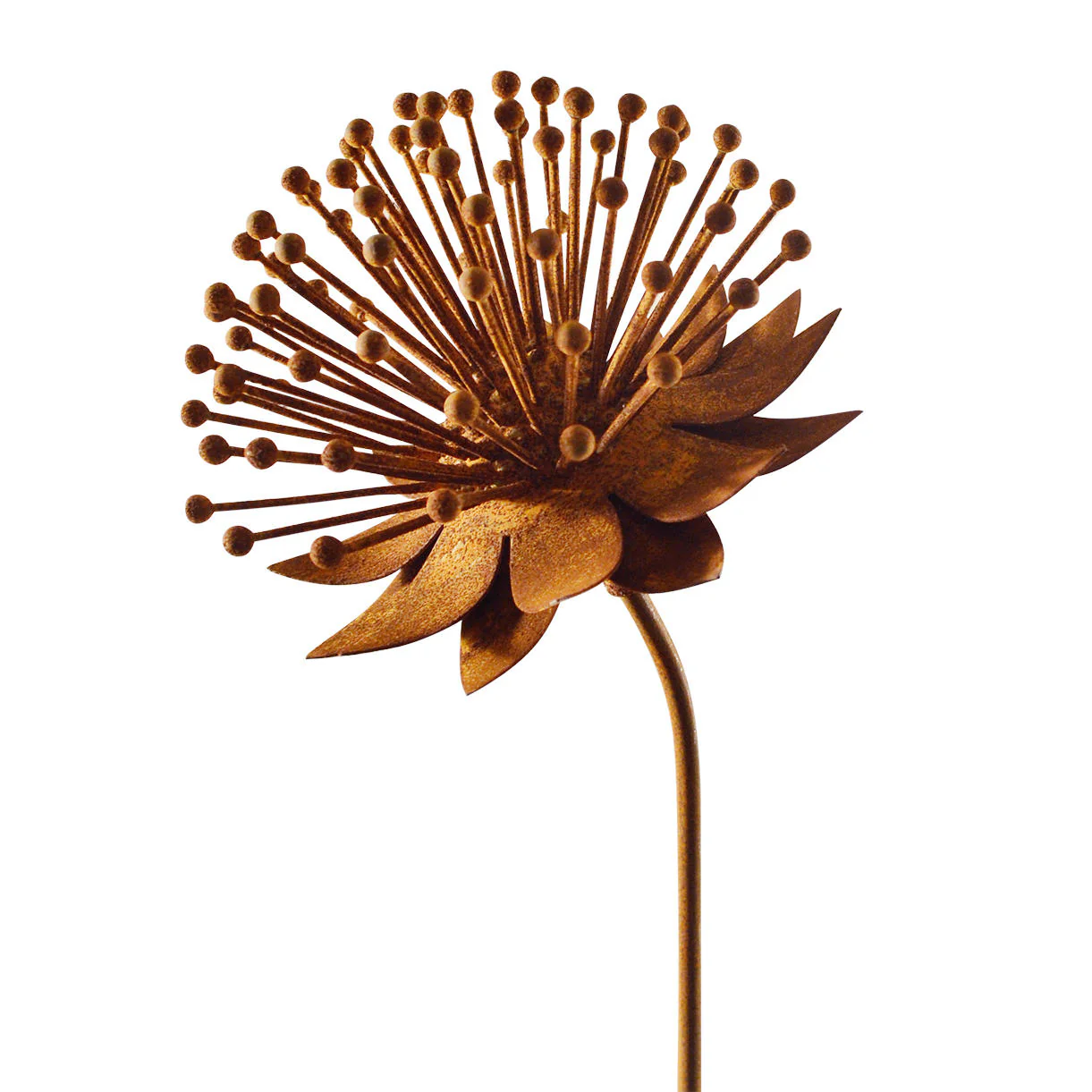 Rusted Echinacea Flower - Image 3