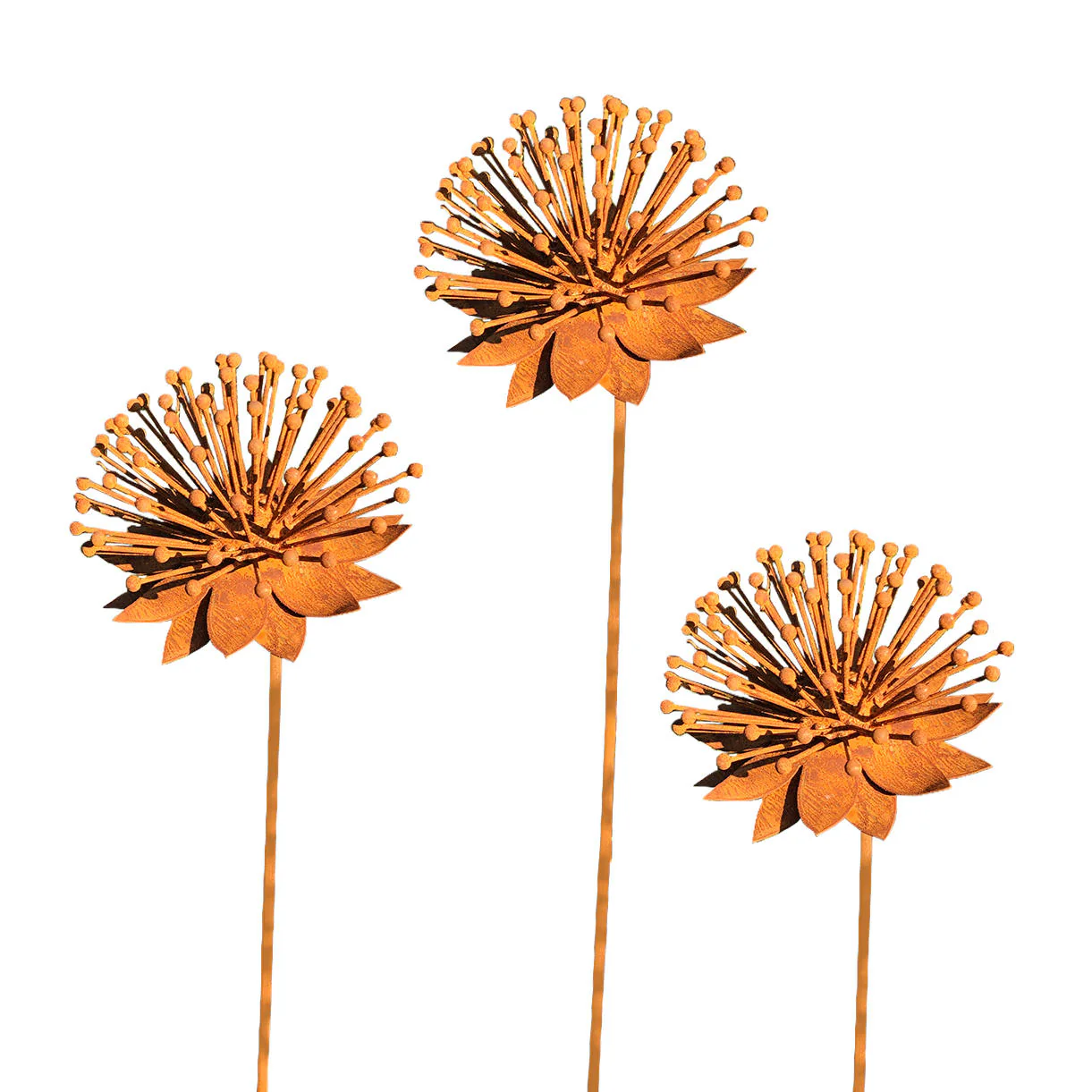 Rusted Echinacea Flower - Image 4