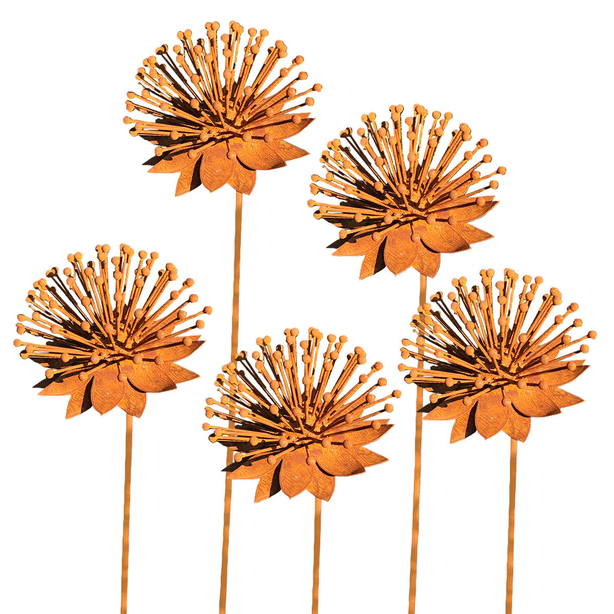 Rusted Echinacea Flower - Image 5
