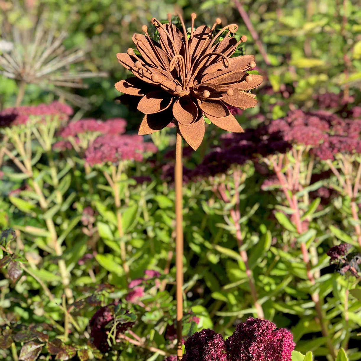 Rusted Passion Flower