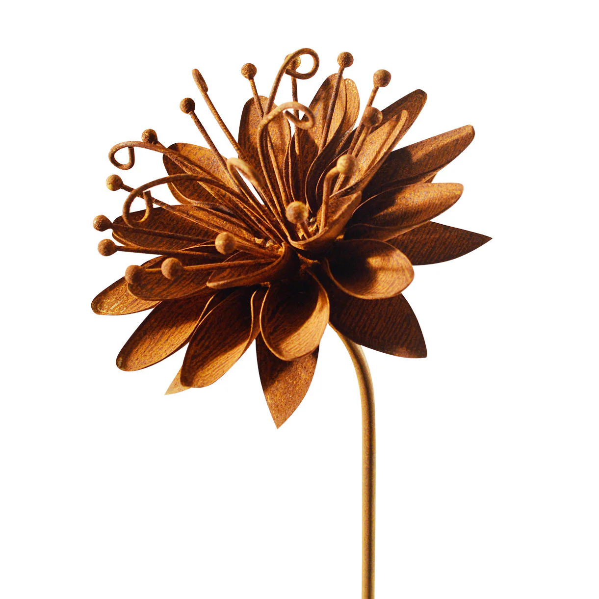 Rusted Passion Flower - Image 4