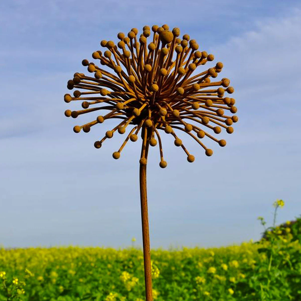 Rusted Seedhead