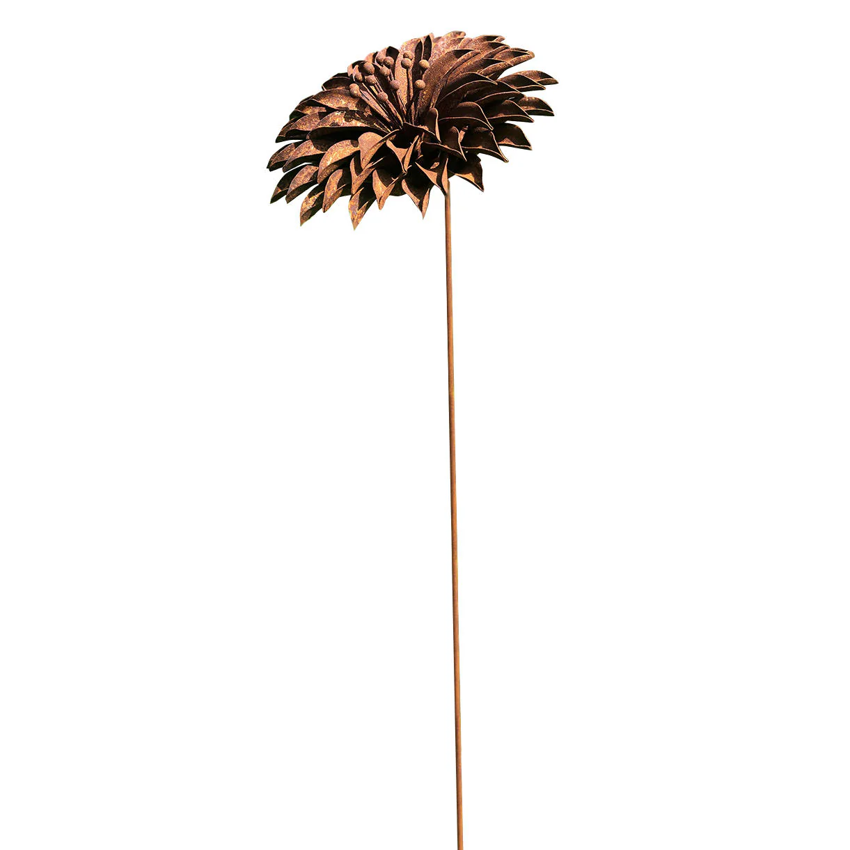 Rusted Starburst Dahlia - Image 3