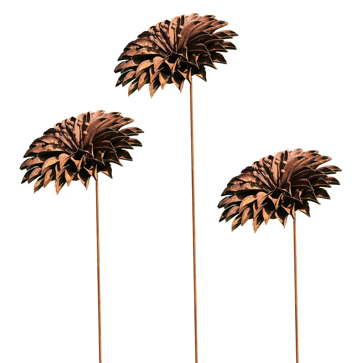 Rusted Starburst Dahlia - Image 4