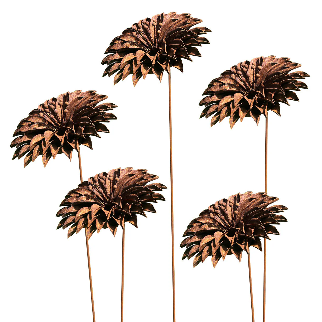 Rusted Starburst Dahlia - Image 5