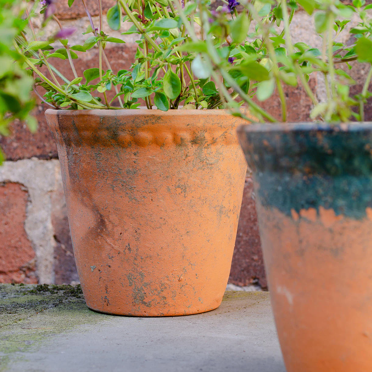 Rustic Aged Lacepot Plant Pot - Image 2