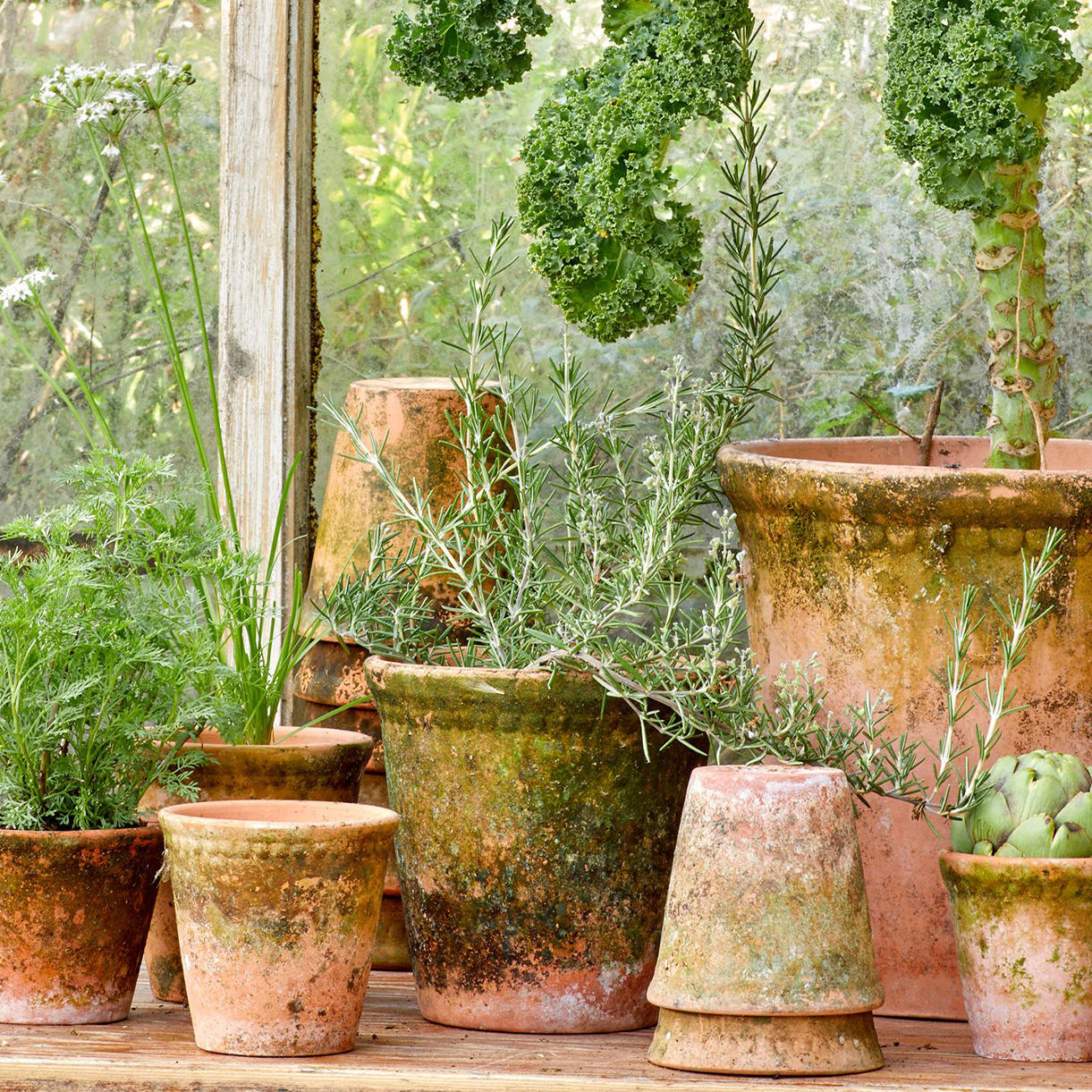 Rustic Aged Lacepot Plant Pot - Image 5