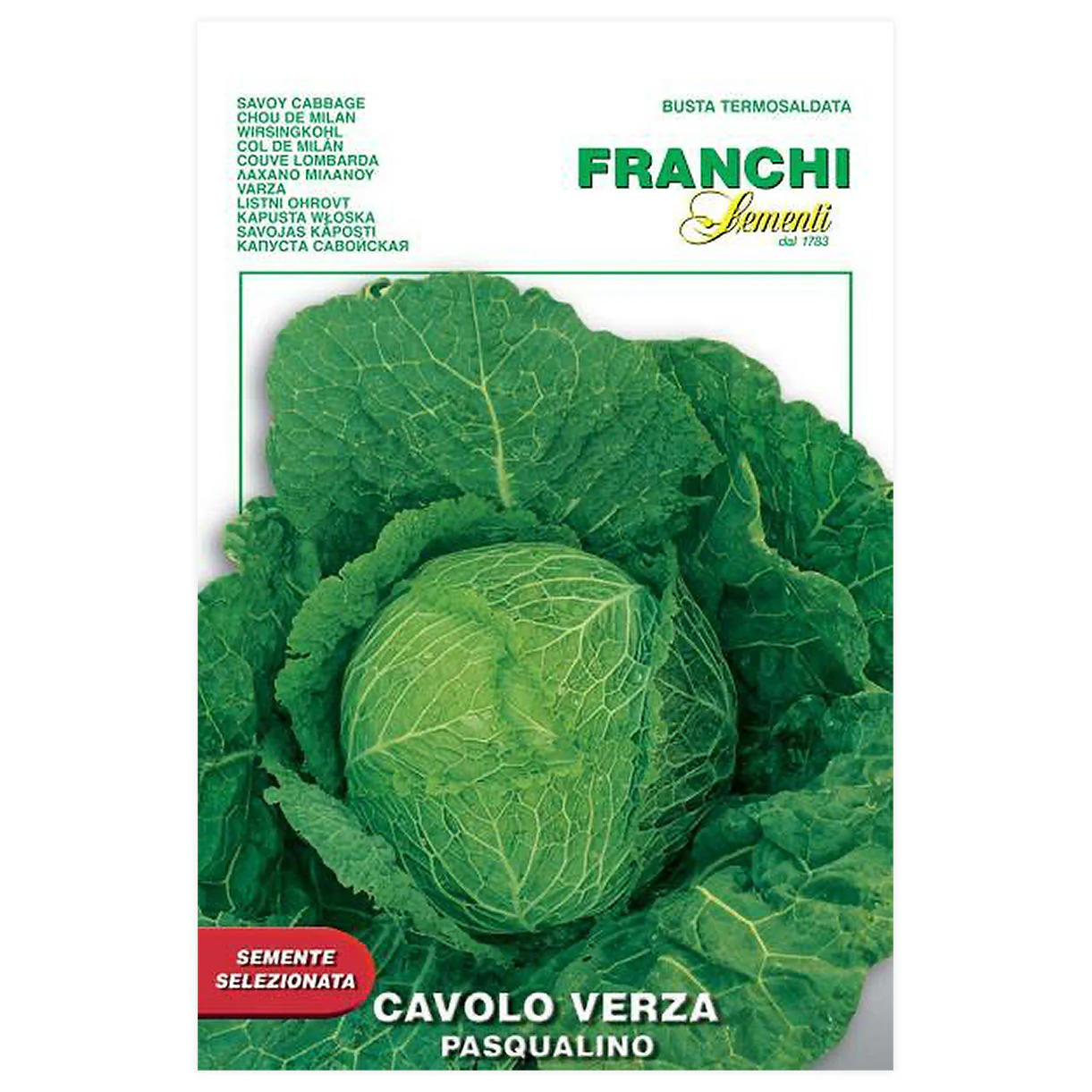 Savoy Cabbage Pasqualino Seeds - Image 2
