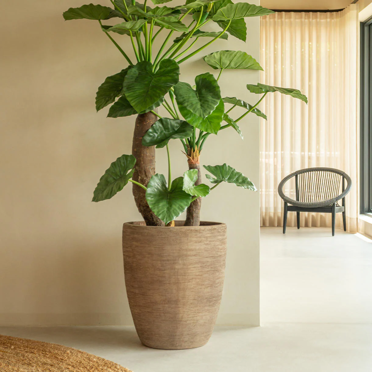 Saya Oval Terracotta Planter - Image 2