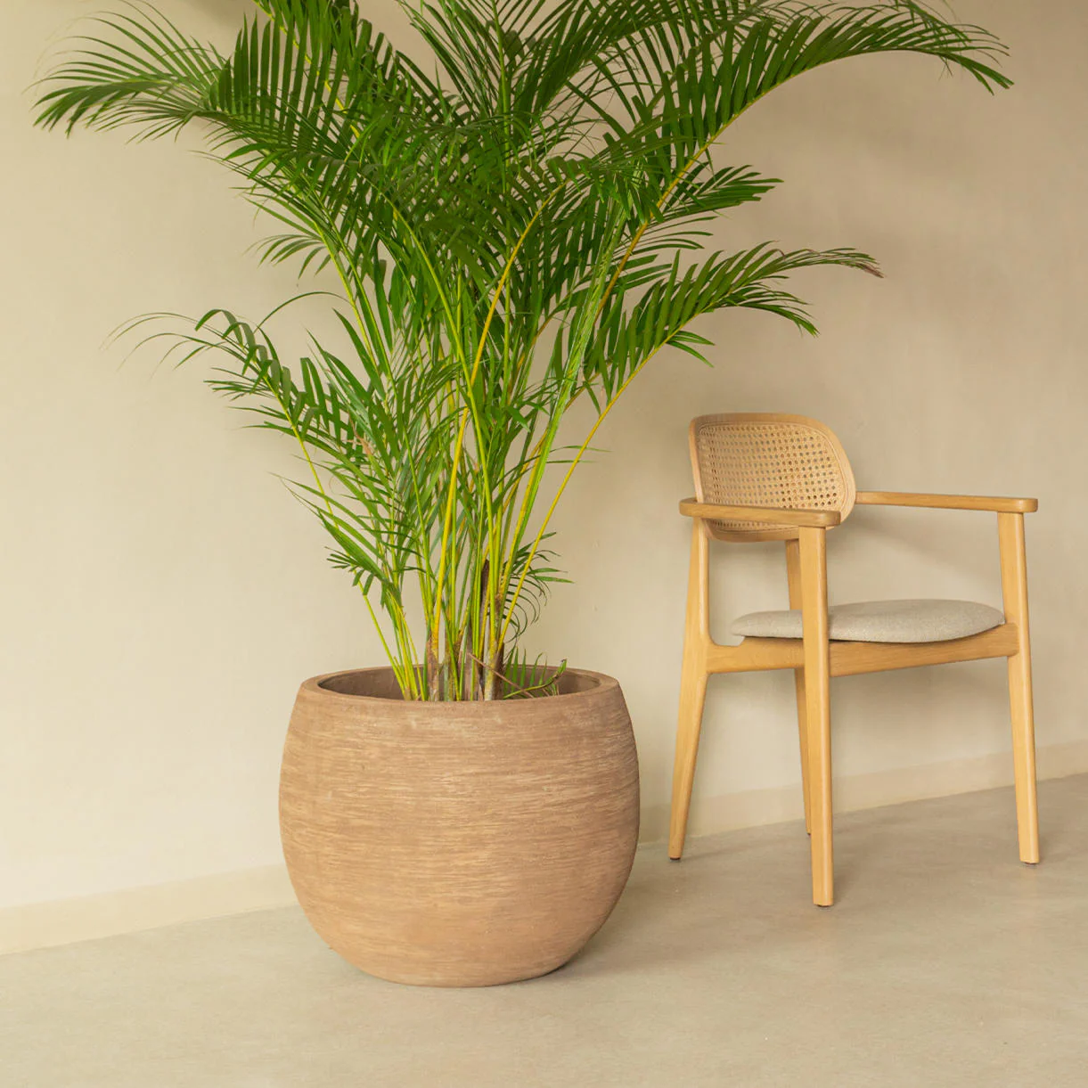Saya Round Terracotta Planter - Set of 2 - Image 2