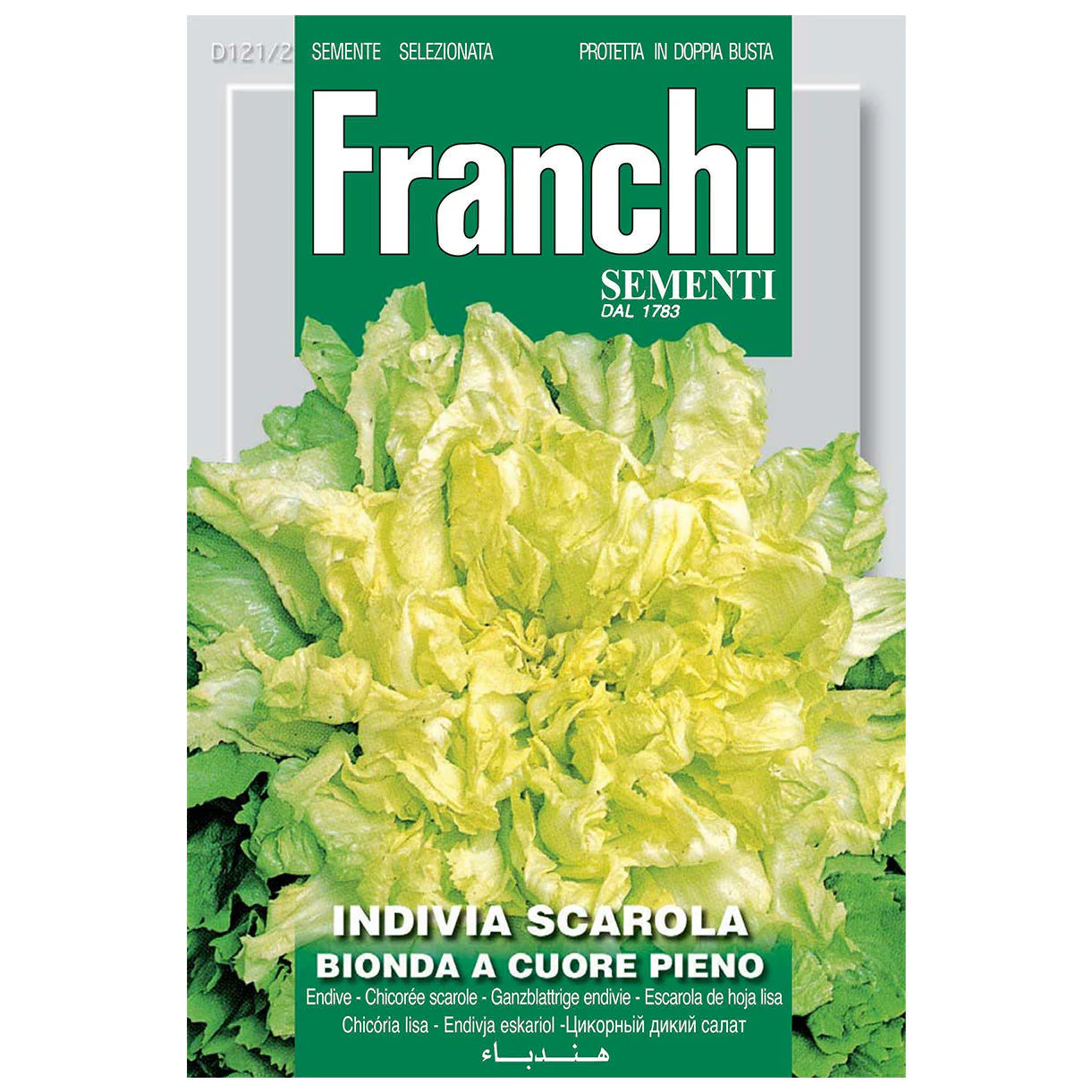 Scarola Bionda Seeds - Image 2