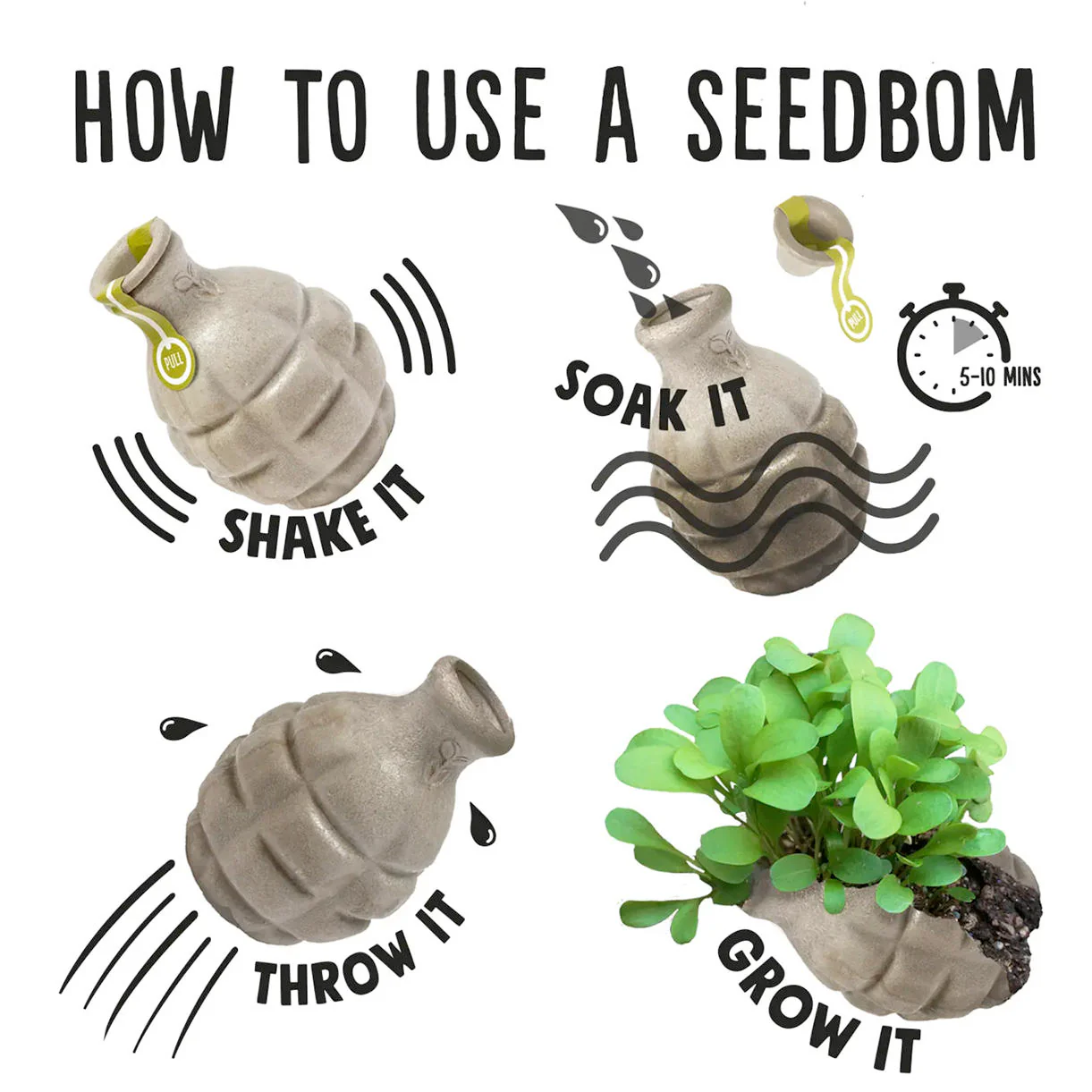 Seedbom Lovebom - Image 3