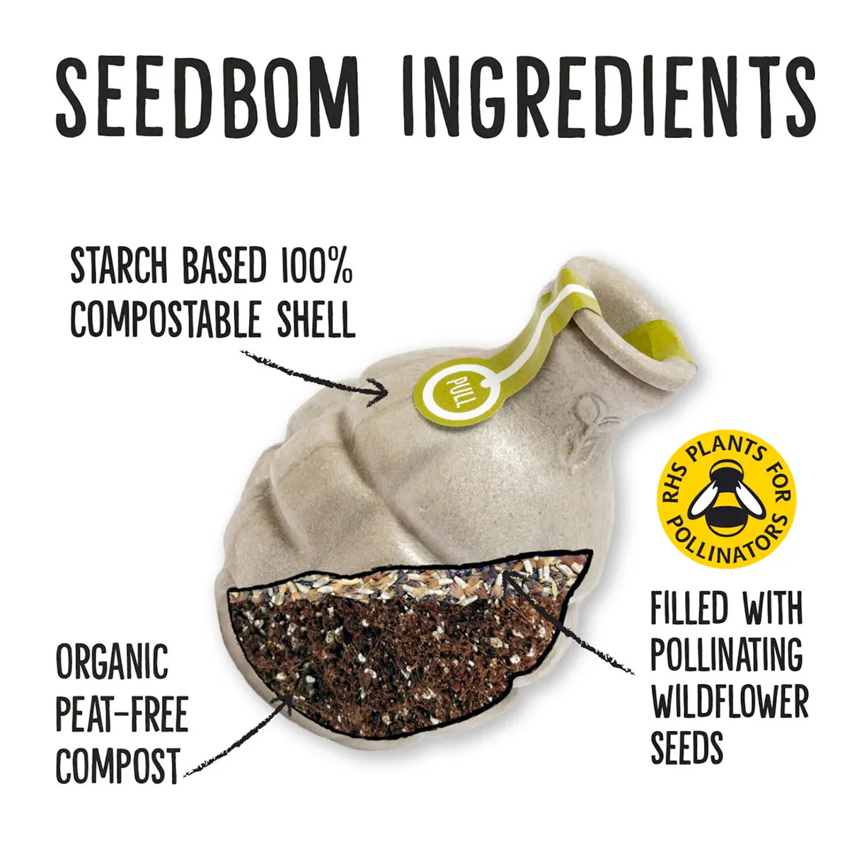 Seedbom Pollinator Beebom - Image 2