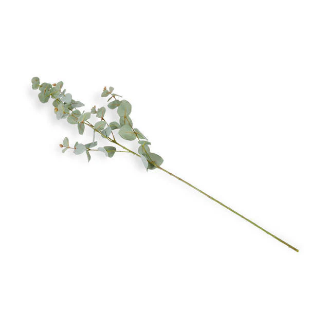 Silk Eucalyptus Stem - Image 7