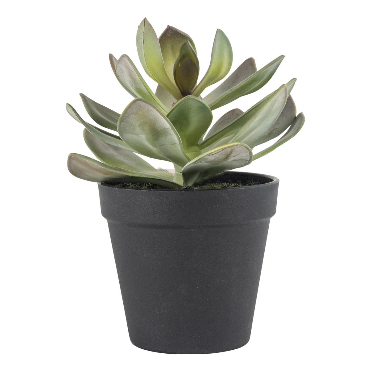Small Faux Succulent in pot - Image 3