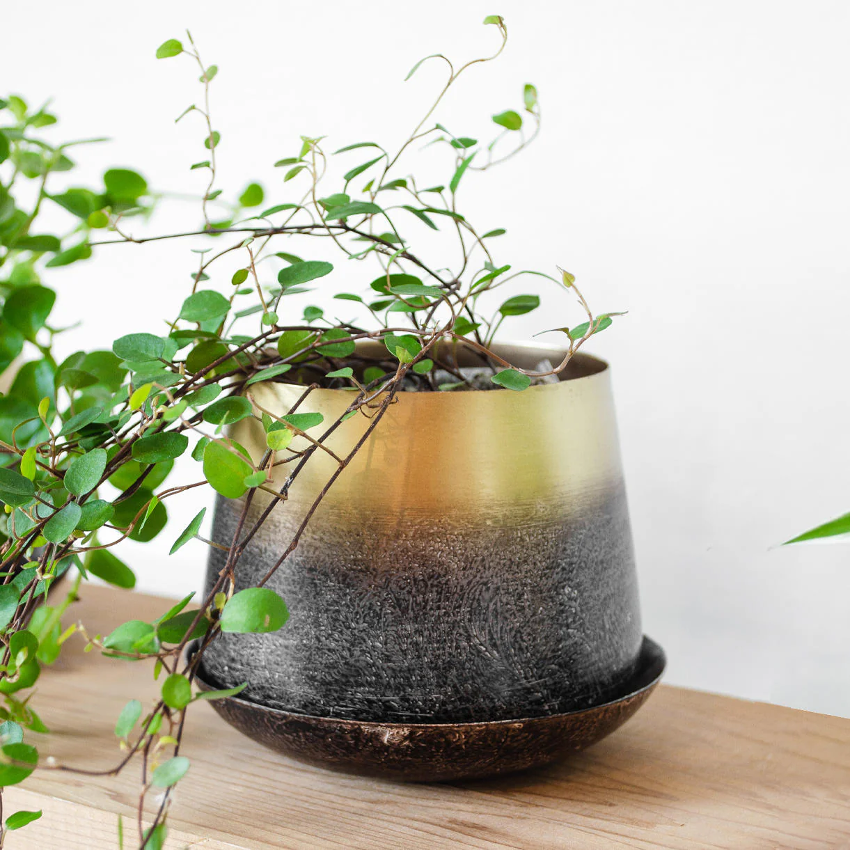 Small Lustre Planter with Saucer - Image 3