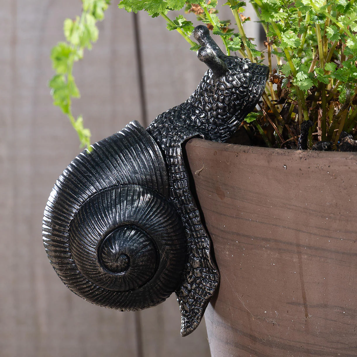 Snail Plant Pot  Decoration