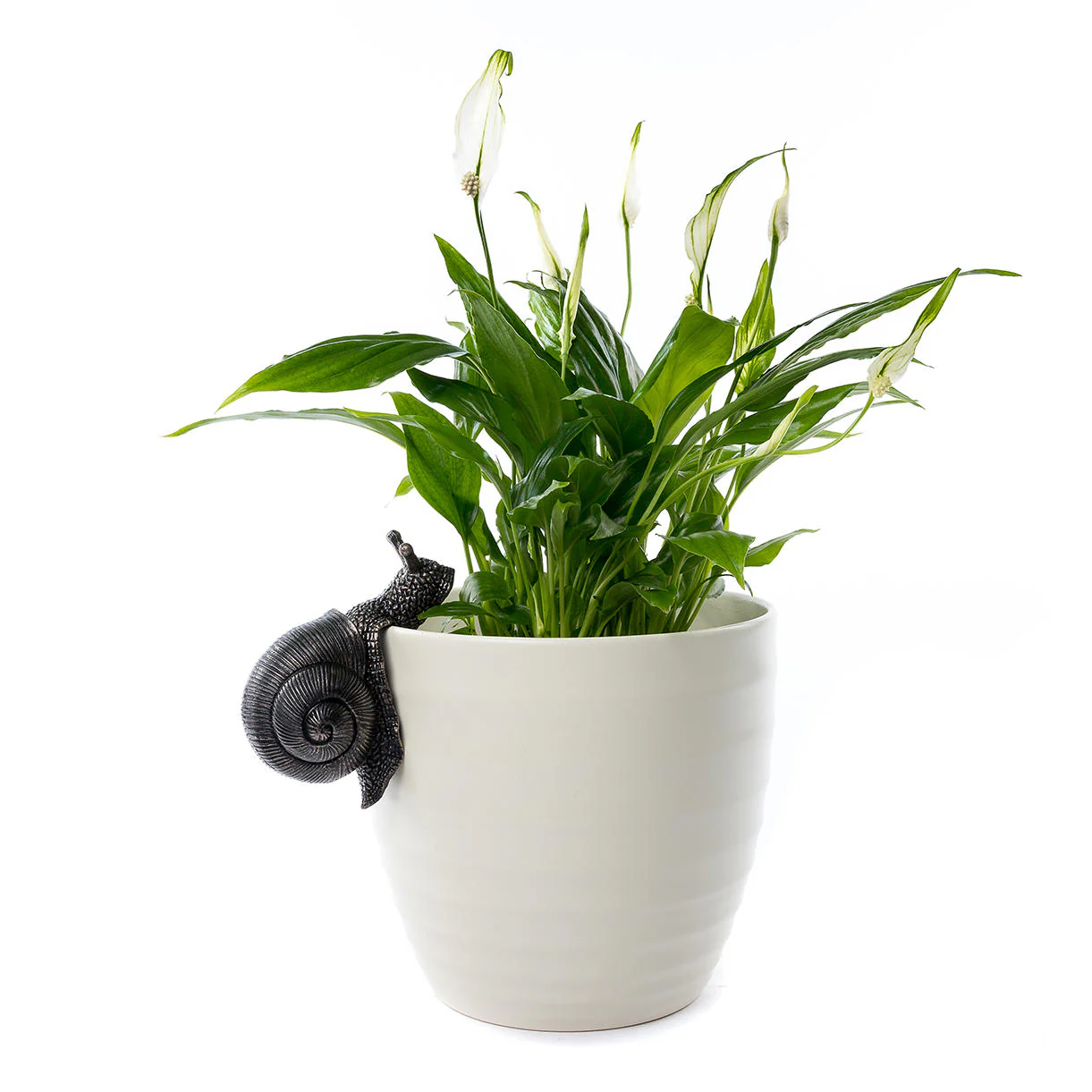 Snail Plant Pot  Decoration - Image 2
