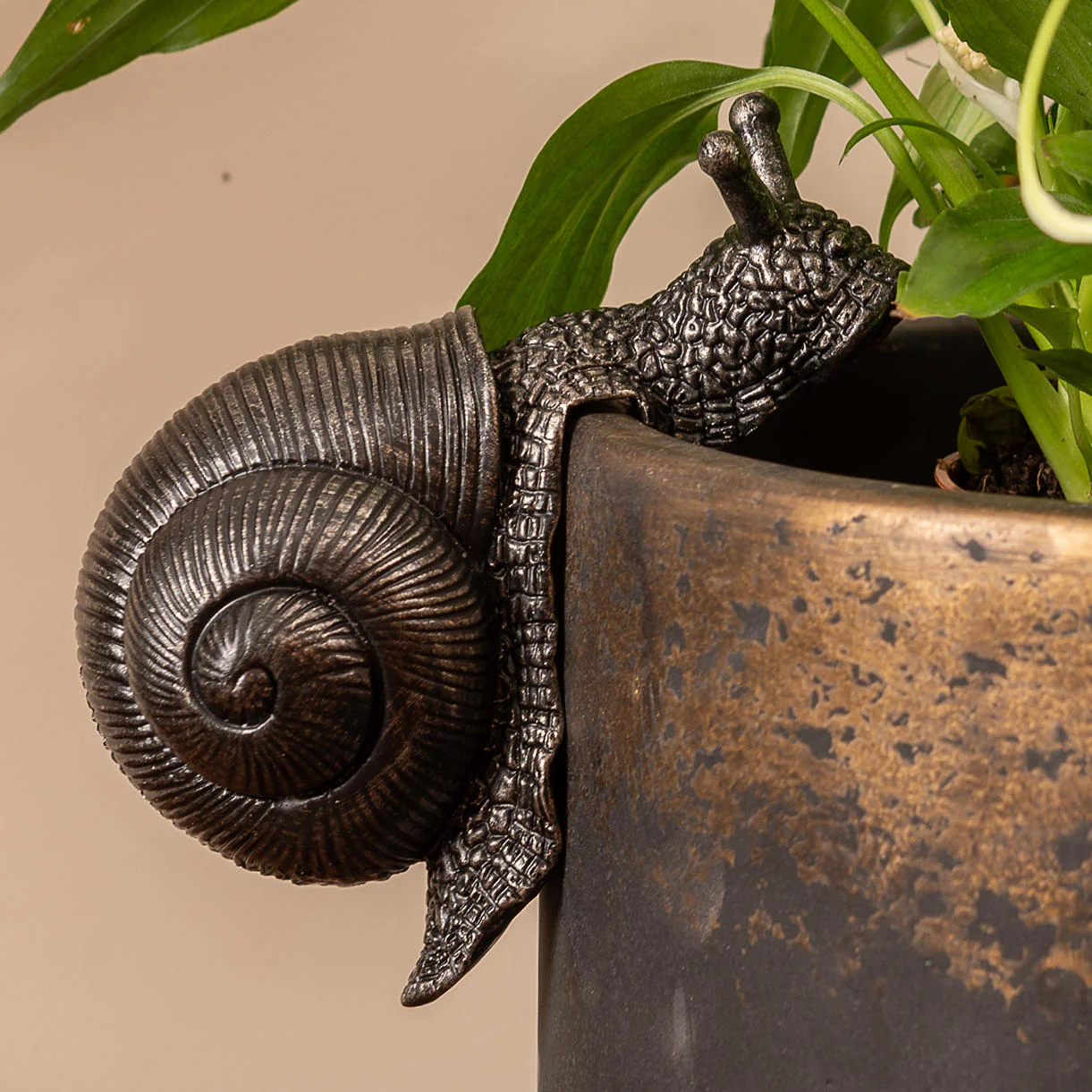 Snail Plant Pot  Decoration - Image 3