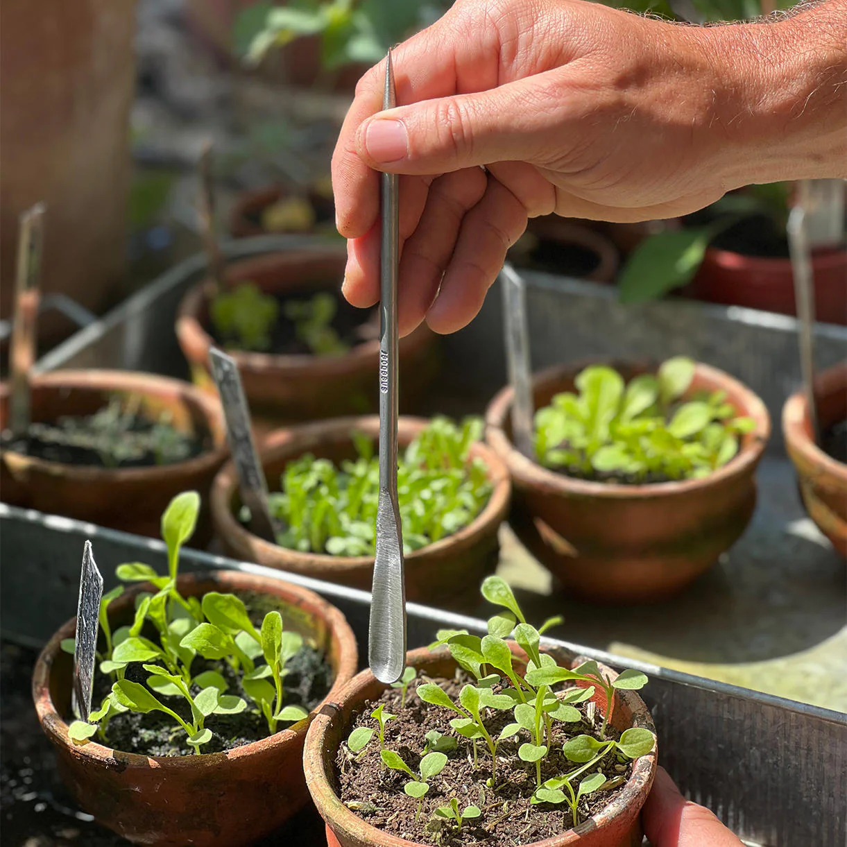 Sneeboer Seedling Pricker - Image 3
