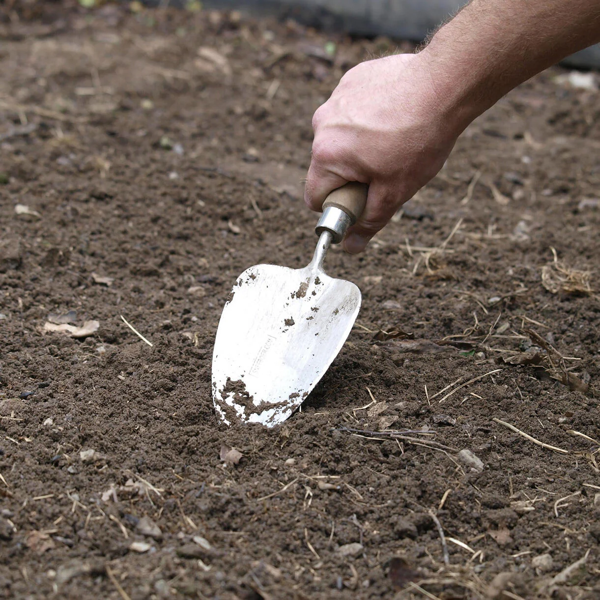 Sneeboer Transplanting Trowel - Image 3