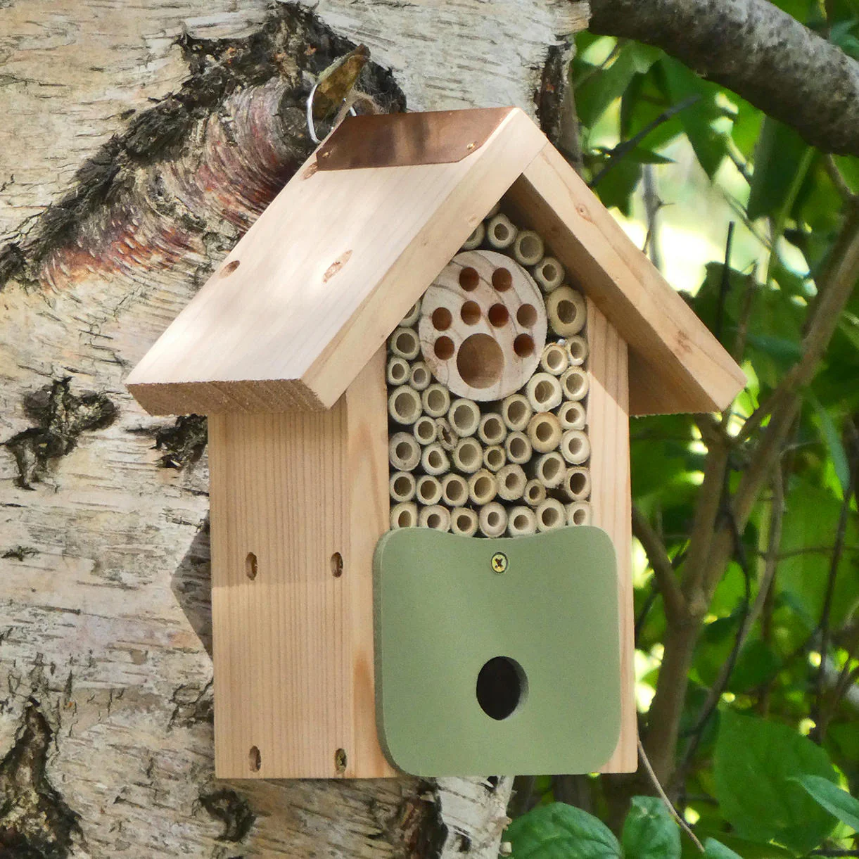 Solitary Bee Barn - Image 3
