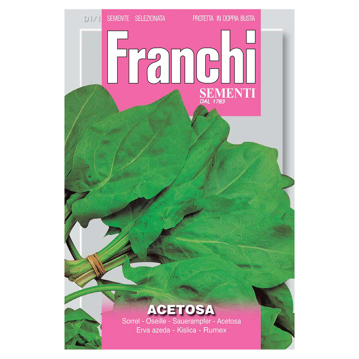 Sorrel Herb Seeds - Image 2