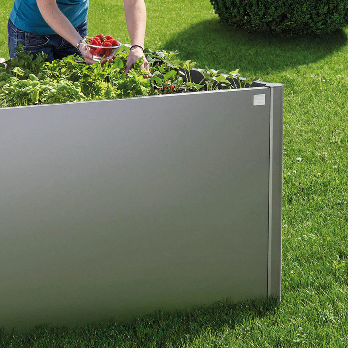 Square Raised Vegetable Bed by BioHort