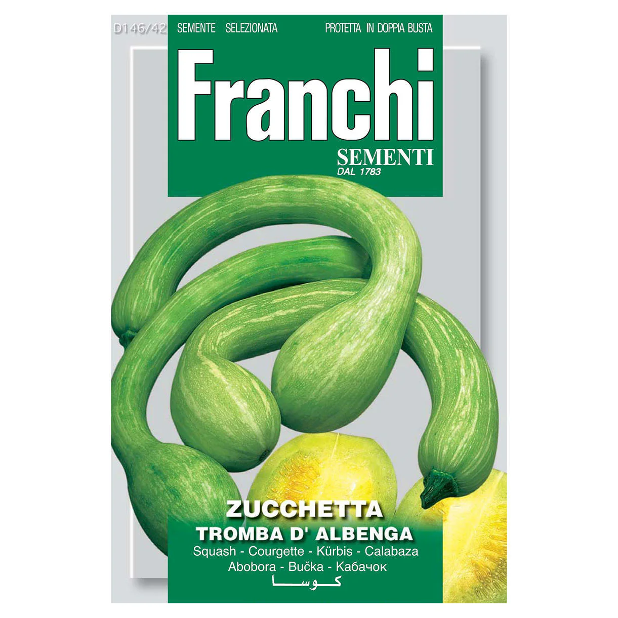 Squash Tromba D'Albenga Seeds - Image 2