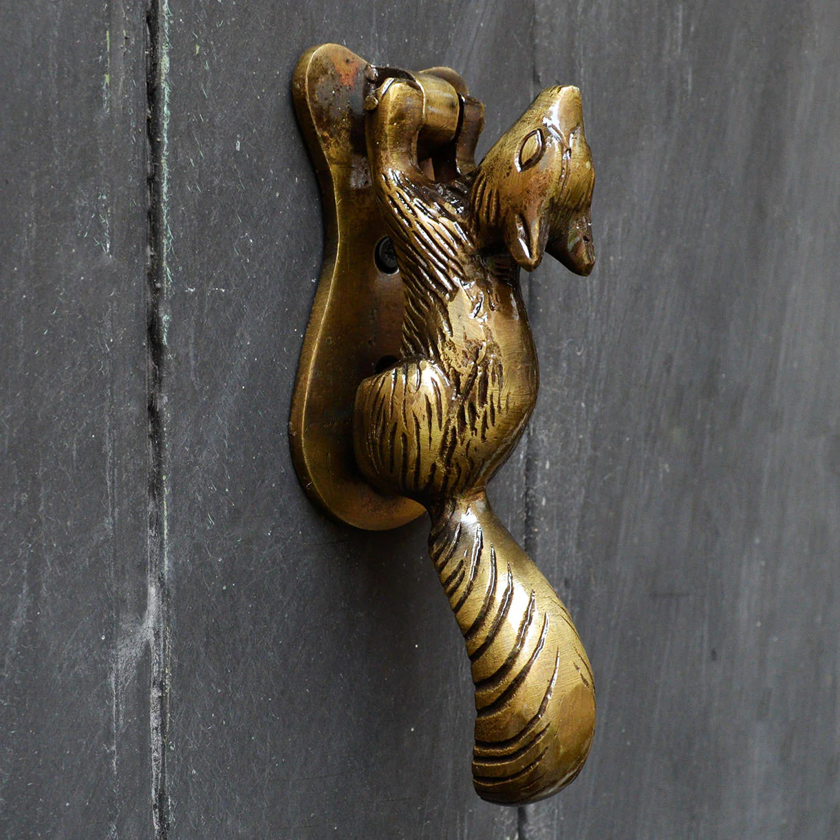 Squirrel Door Knocker - Image 2