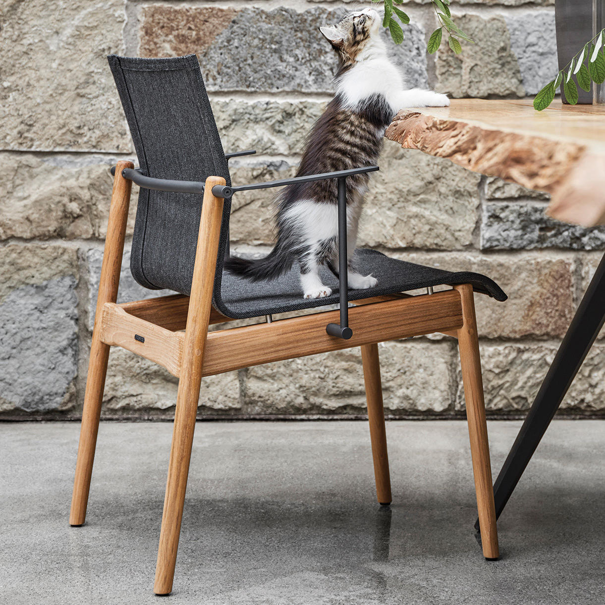 Sway Teak Stacking Chairs with Arms