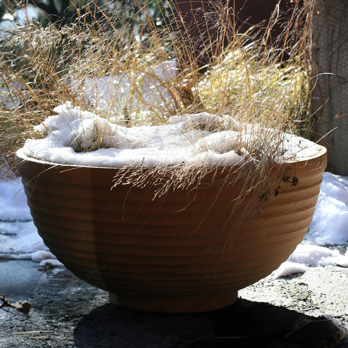 Thames Bowl Planter - Image 4