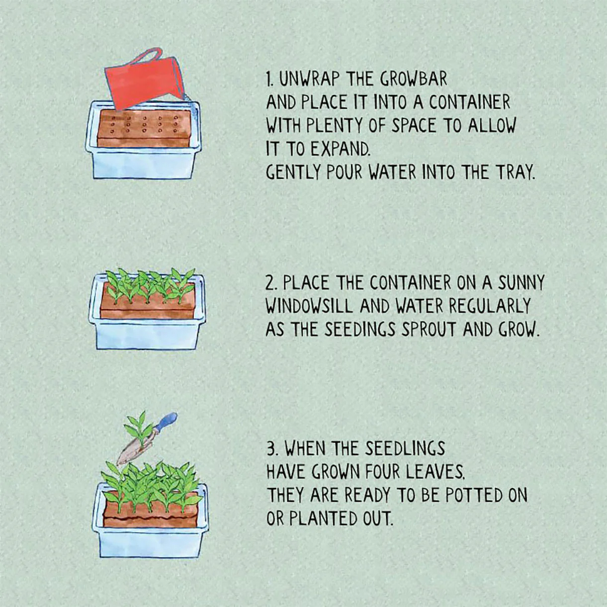 The Gin Bar Seeds - Image 5