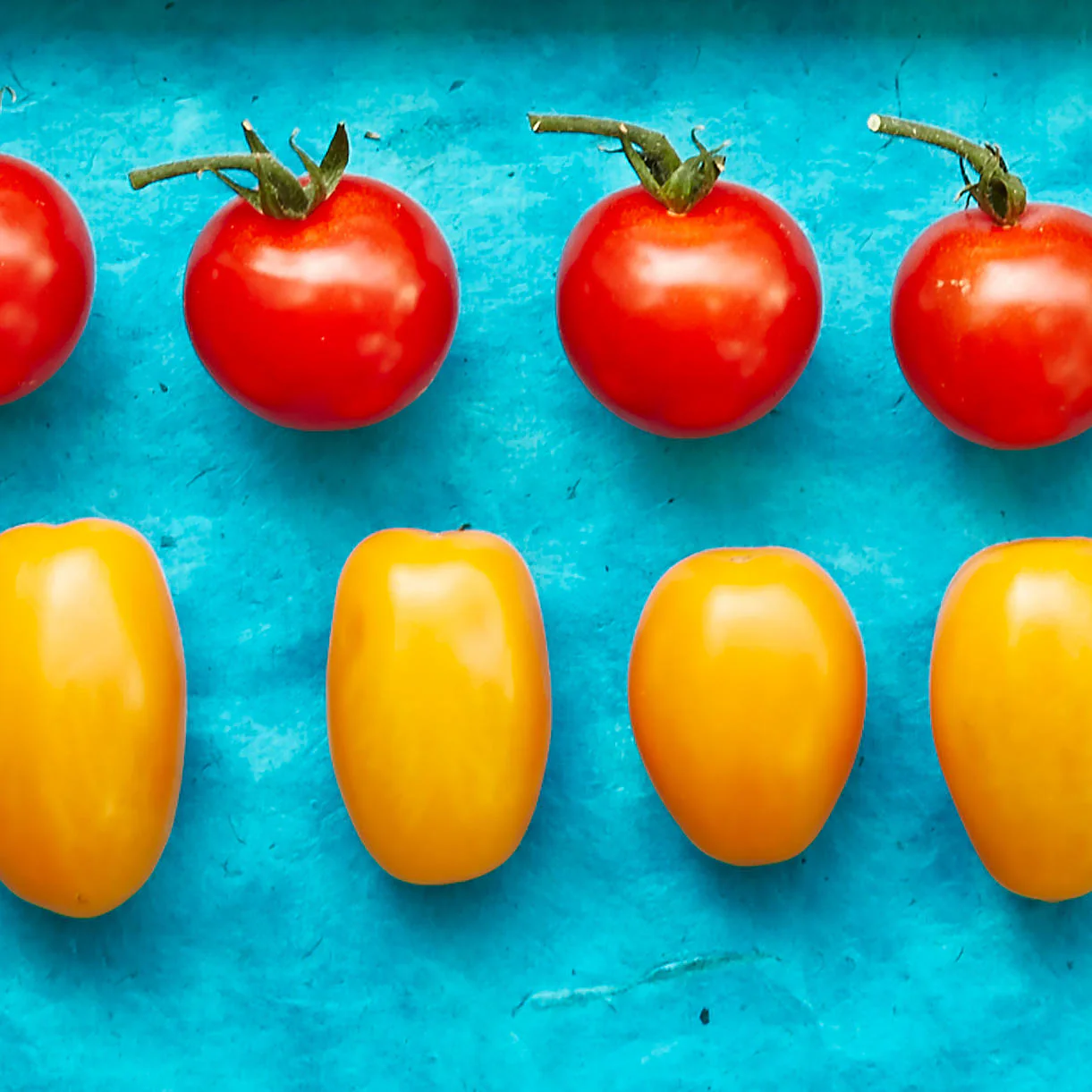 The Tiny Tomato Seed Bar - Image 2