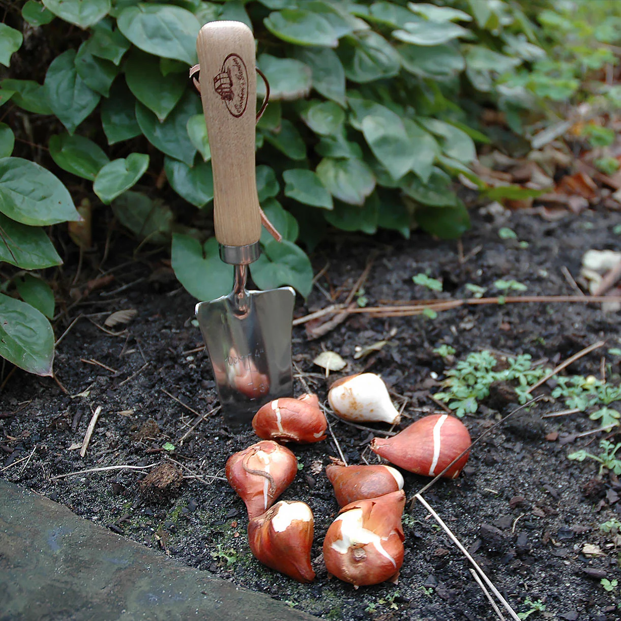 Traditional Garden Trowel - Image 3