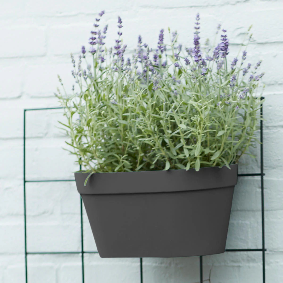 Urban Display Duo Wall Pot