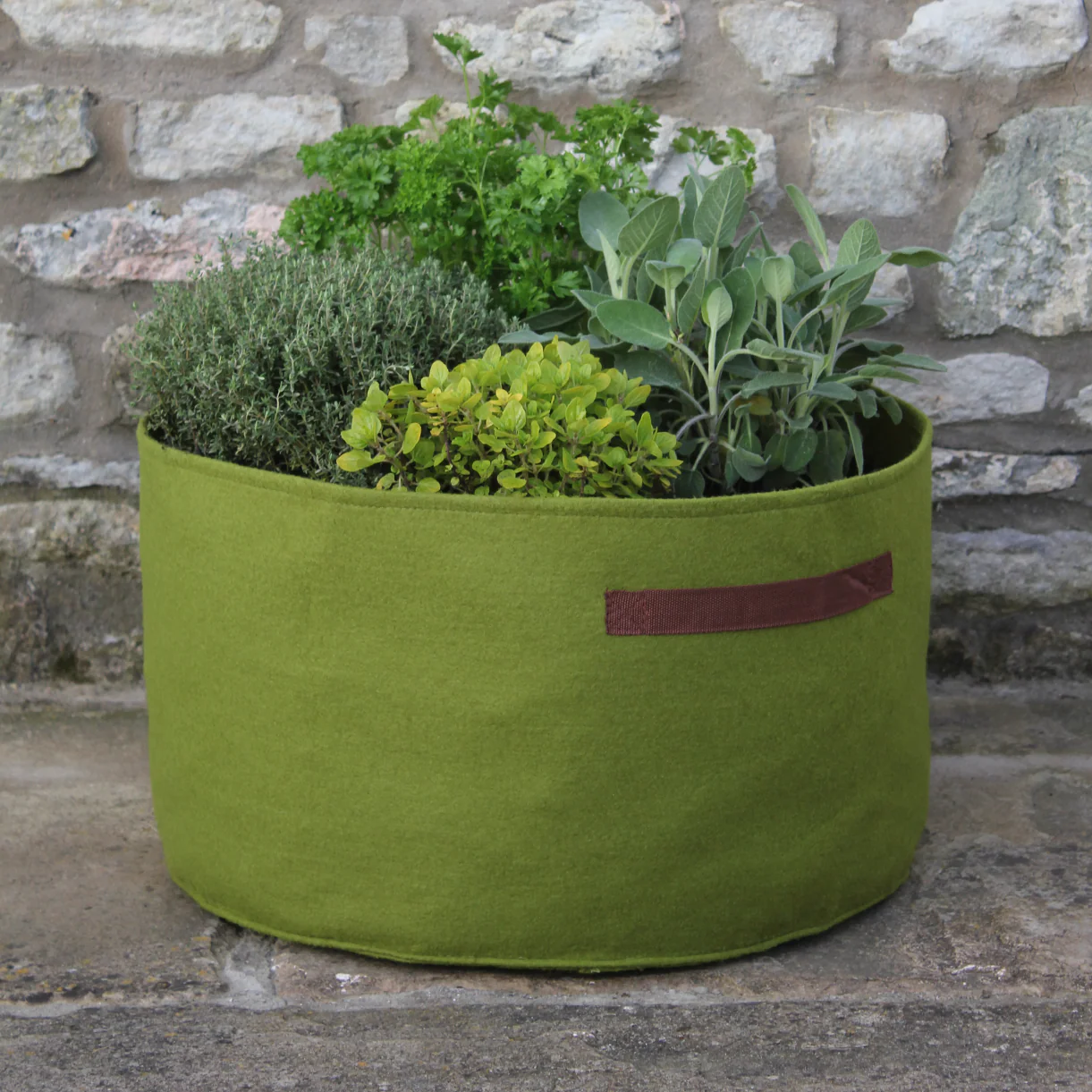 Vigoroot Herb Planter