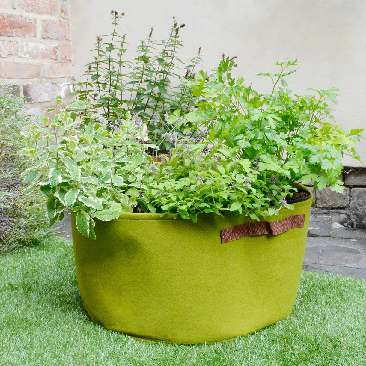 Vigoroot Herb Planter - Image 2