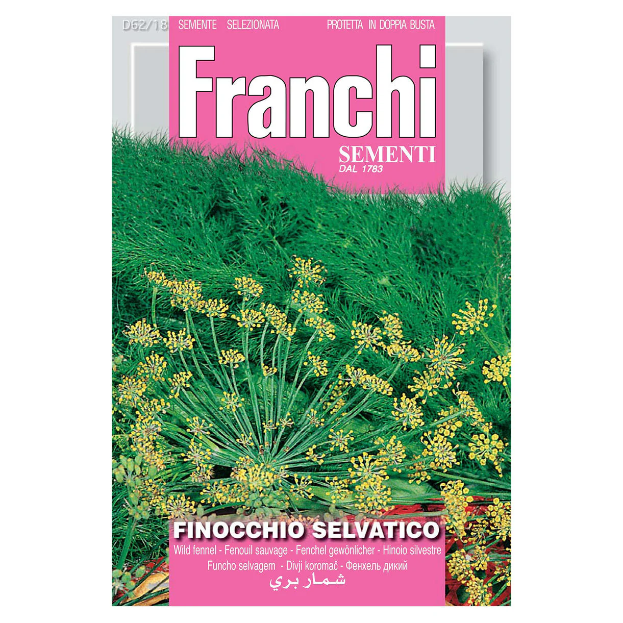 Wild Fennel Herb Seeds - Image 2