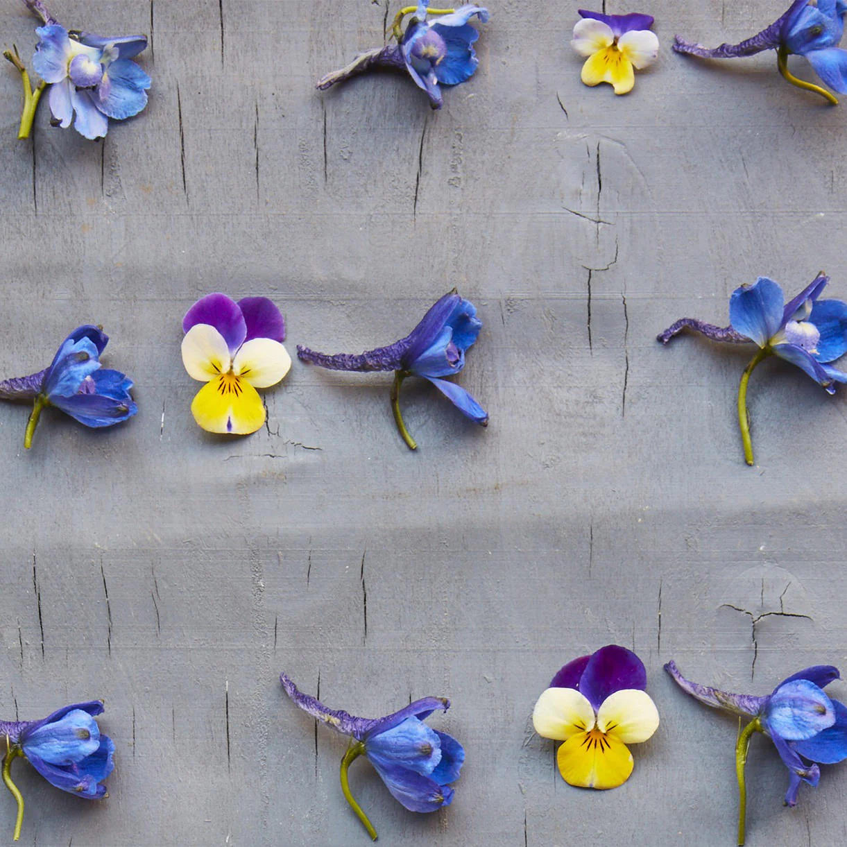 William Morris Flowers Seed Bar - Image 2