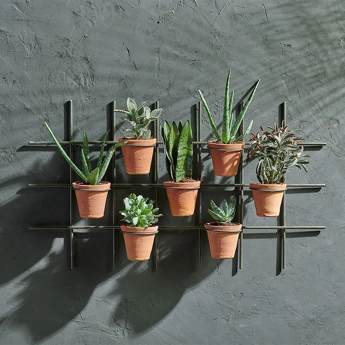Wire Wall Frame with 7 Terracotta Pots