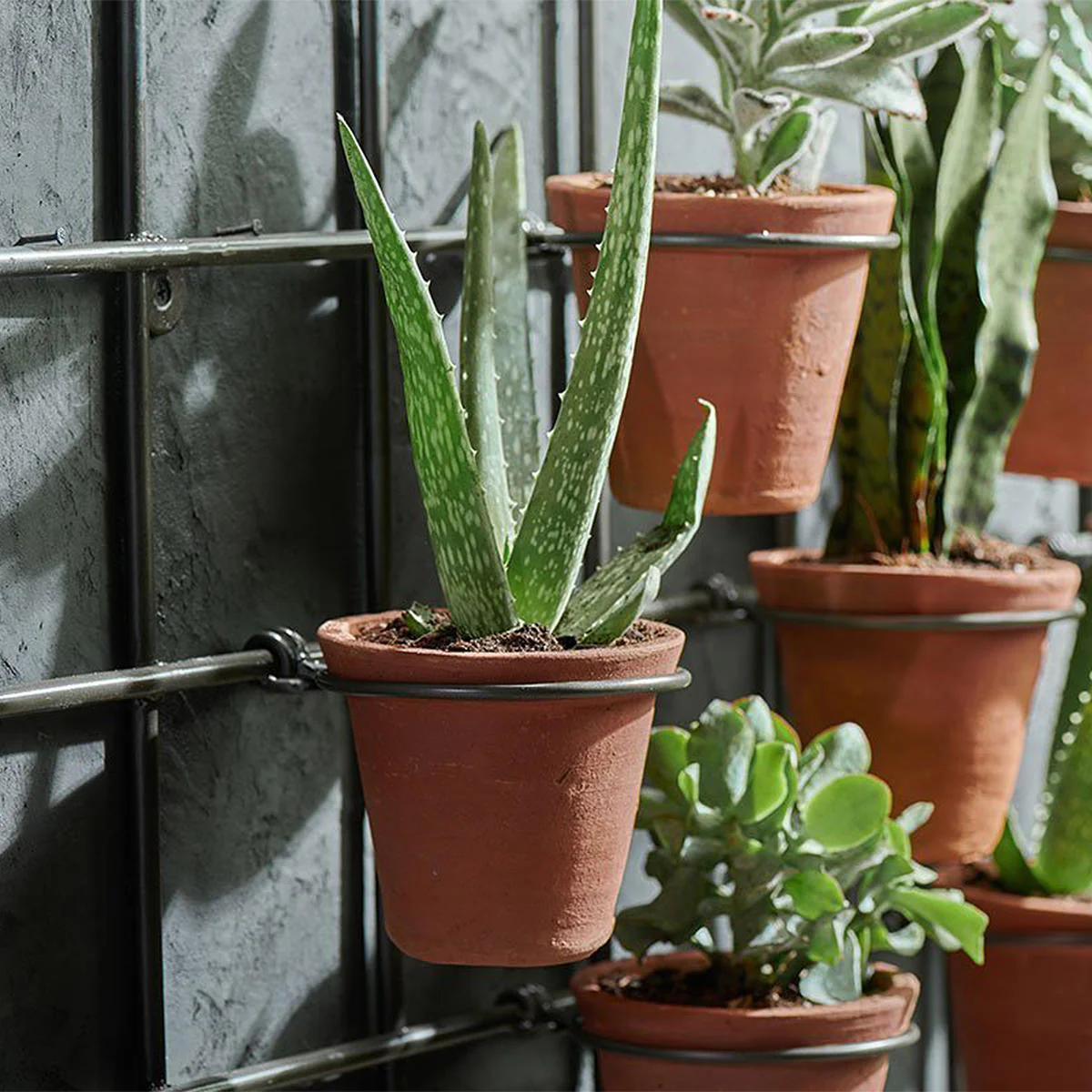 Wire Wall Frame with 7 Terracotta Pots - Image 2